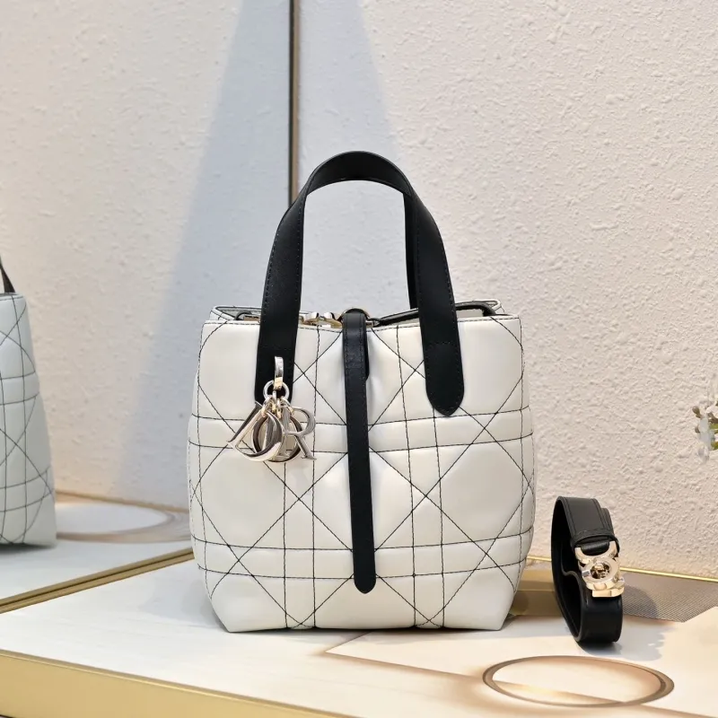 Dior Shopping Bags-2