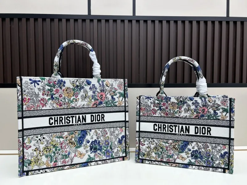Dior Shopping Bags-8