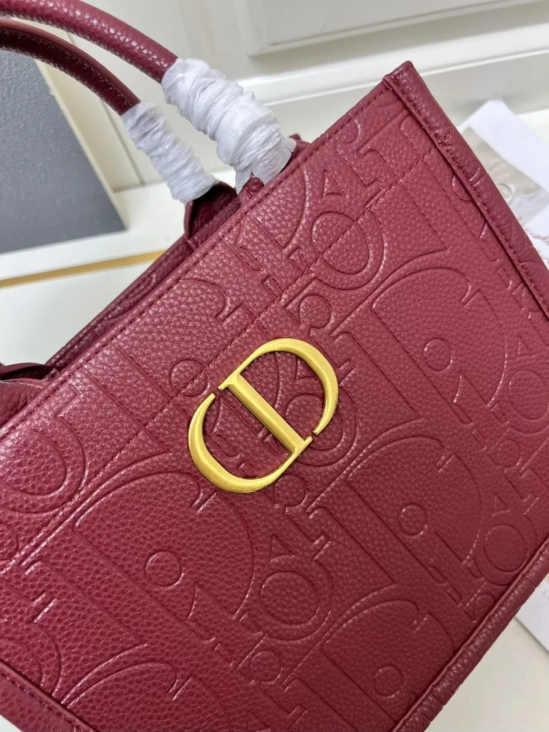 Dior Shopping Bags-16 - Image 6