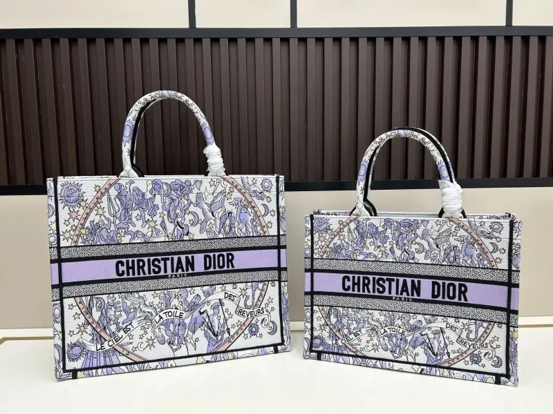 Dior Shopping Bags-21