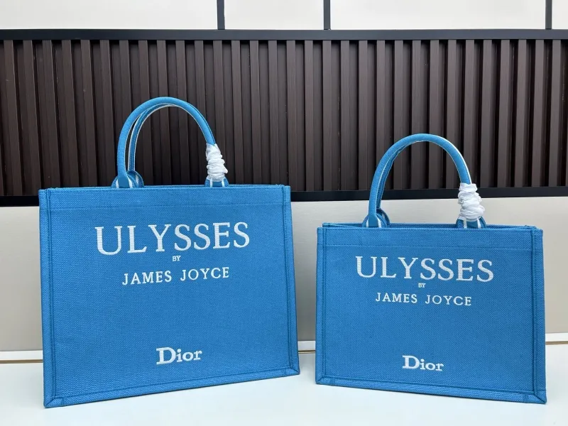 Dior Shopping Bags-26