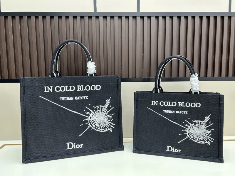 Dior Shopping Bags-27