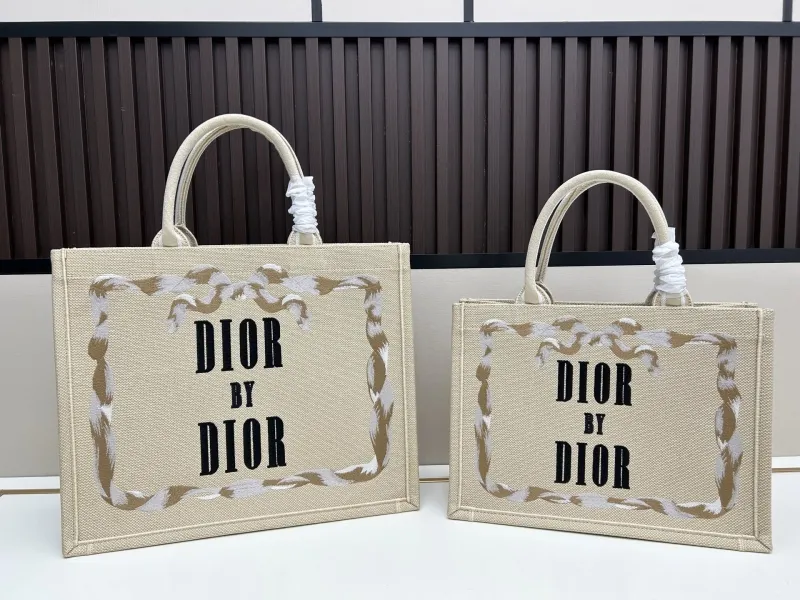 Dior Shopping Bags-28