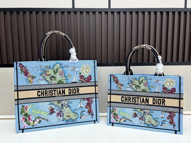 Dior Shopping Bags-29