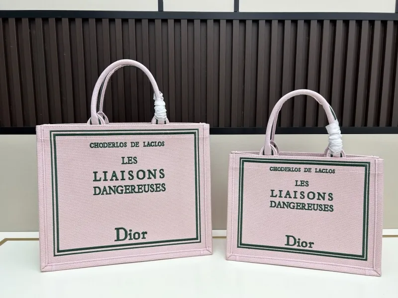 Dior Shopping Bags-30