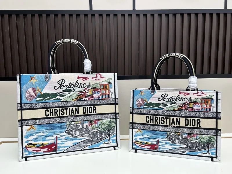 Dior Shopping Bags-31