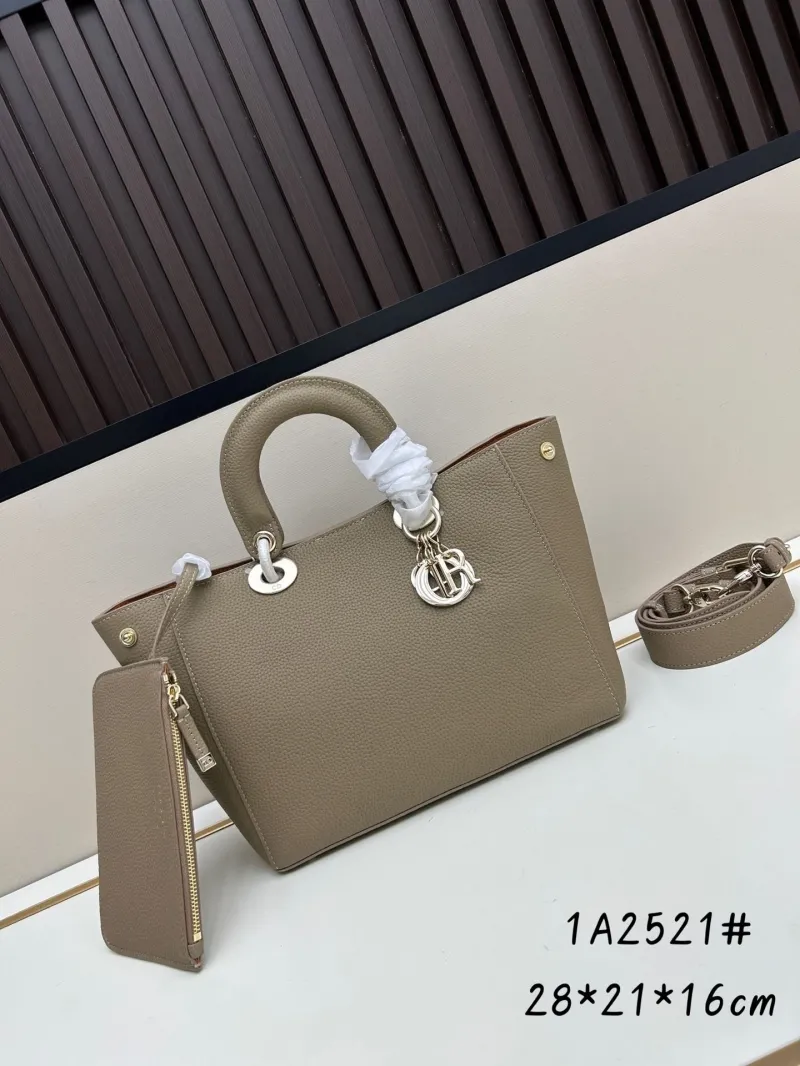 Dior Shopping Bags-32