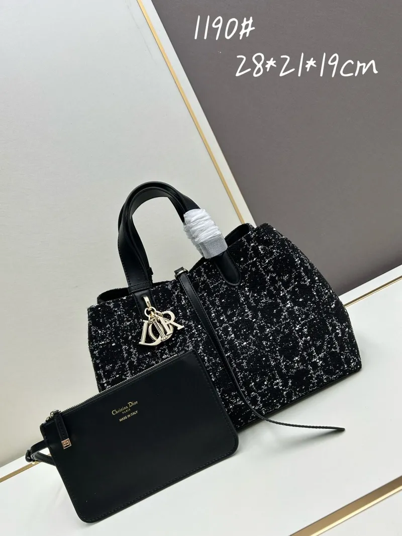 Dior Shopping Bags-40