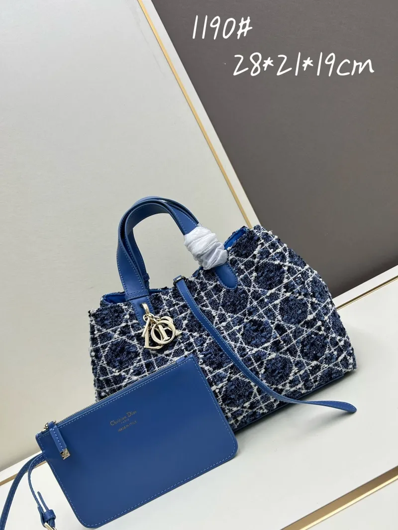 Dior Shopping Bags-41