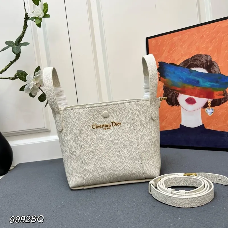 Dior Shopping Bags-43