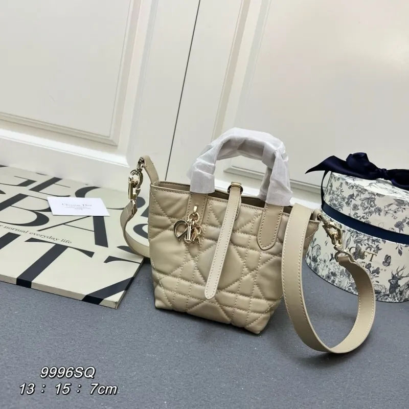 Dior Shopping Bags-45