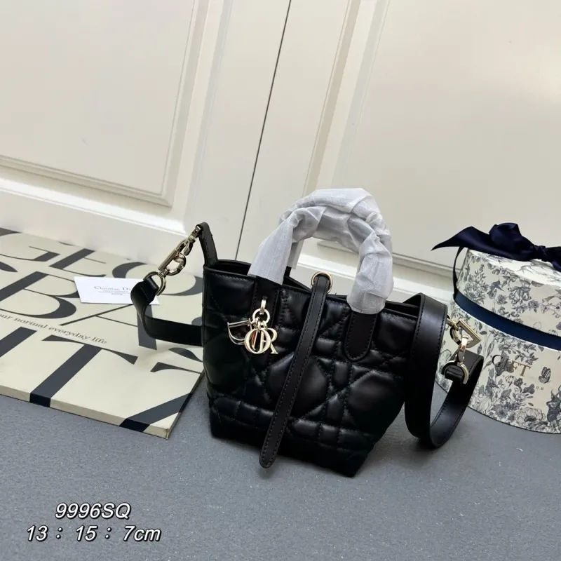Dior Shopping Bags-46