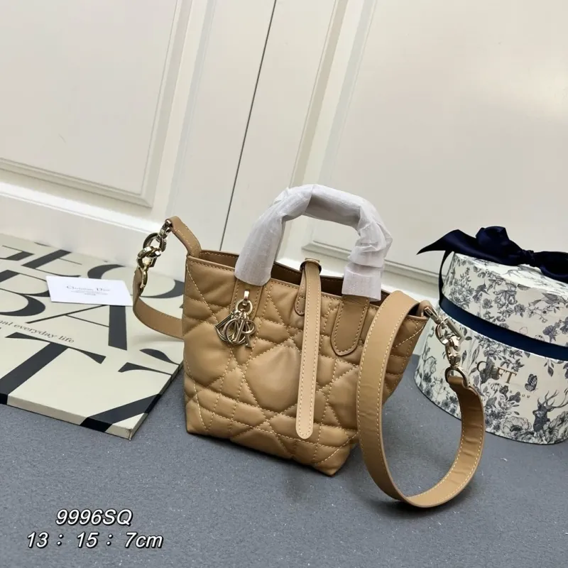 Dior Shopping Bags-47