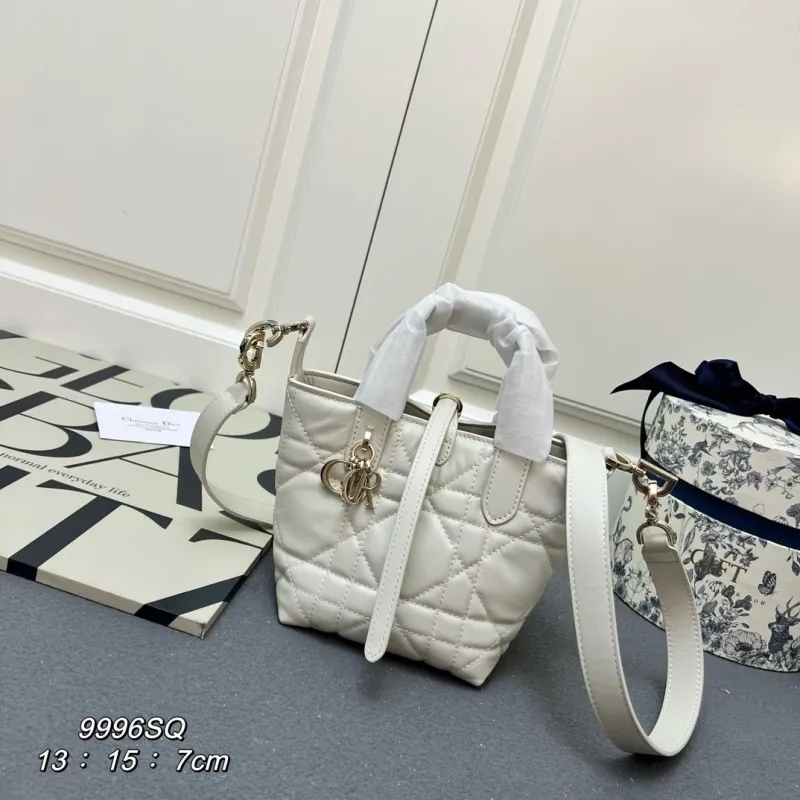 Dior Shopping Bags-49