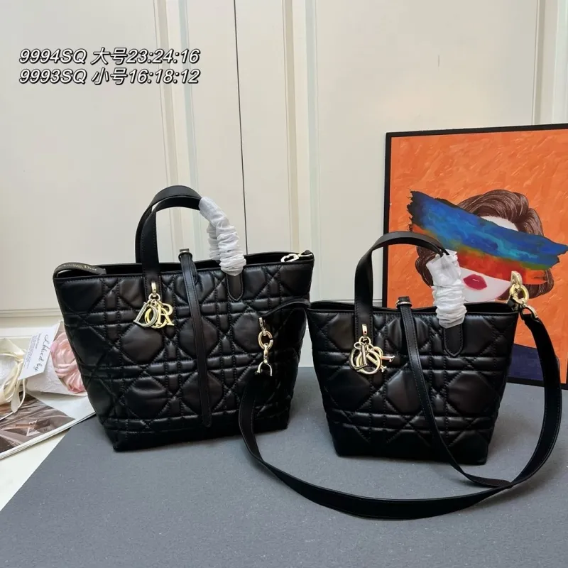 Dior Shopping Bags-50