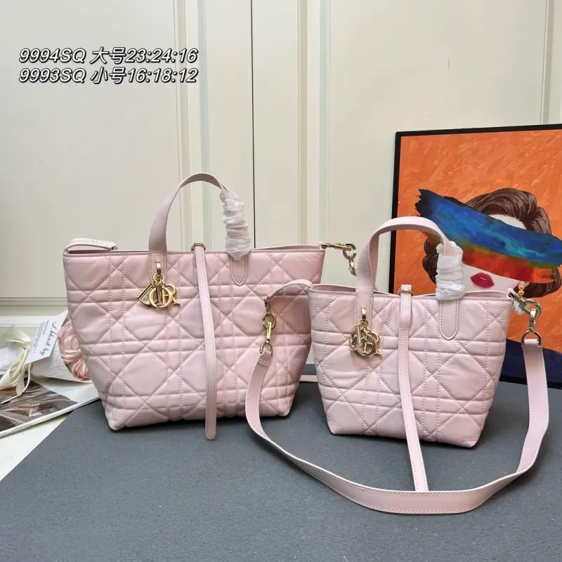 Dior Shopping Bags-51