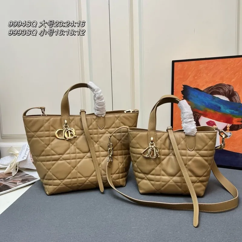 Dior Shopping Bags-52