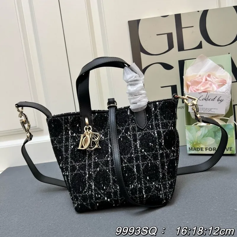 Dior Shopping Bags-53