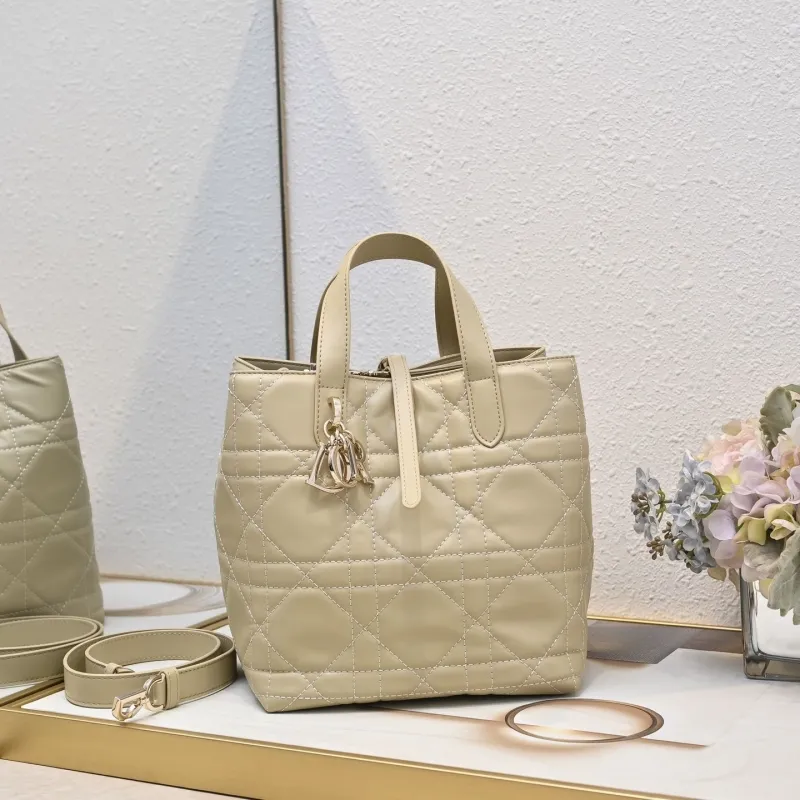 Dior Shopping Bags-56
