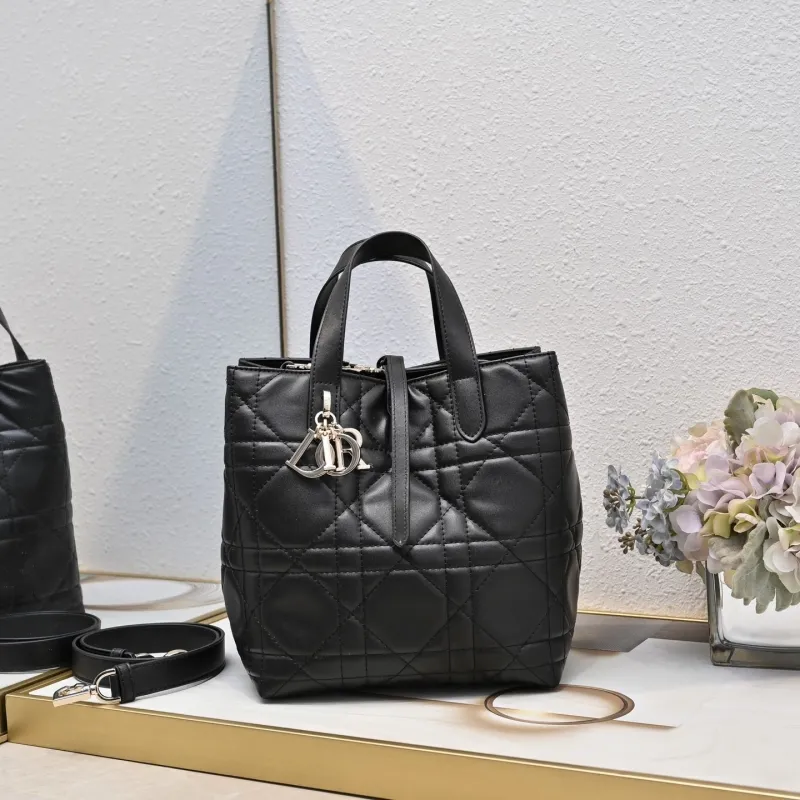 Dior Shopping Bags-57