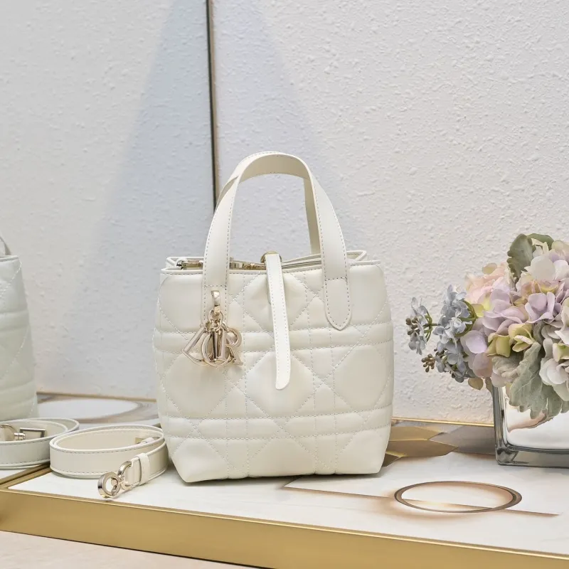 Dior Shopping Bags-58