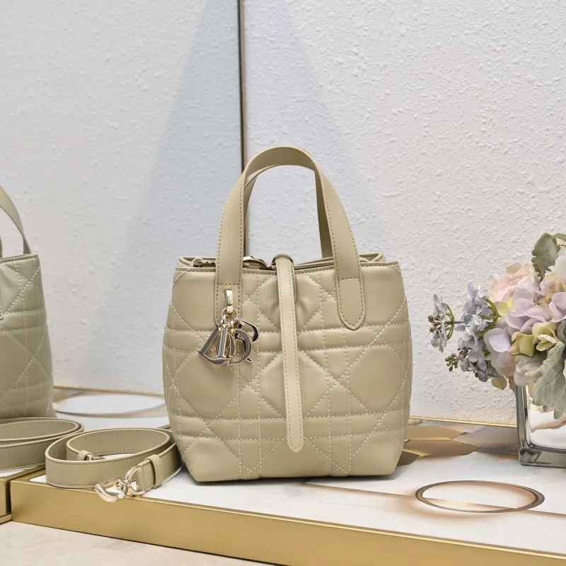 Dior Shopping Bags-59