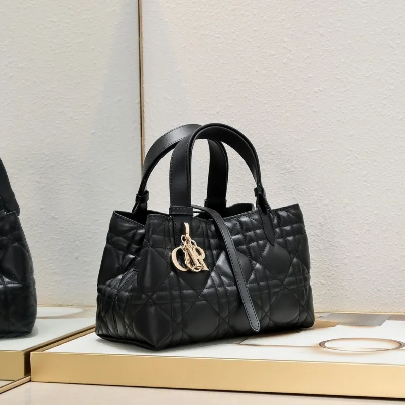 Alternative view of Dior Shopping Bags-63