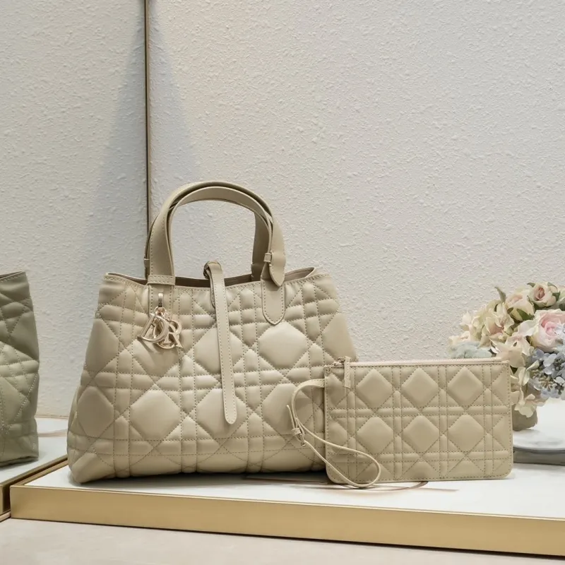 Dior Shopping Bags-64