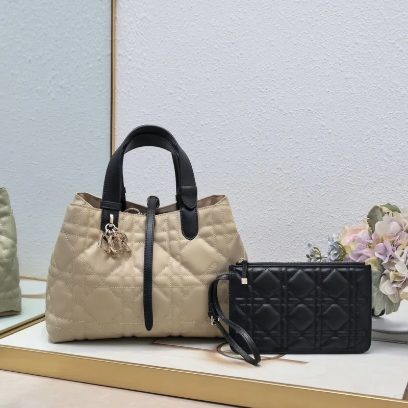 Dior Shopping Bags-70