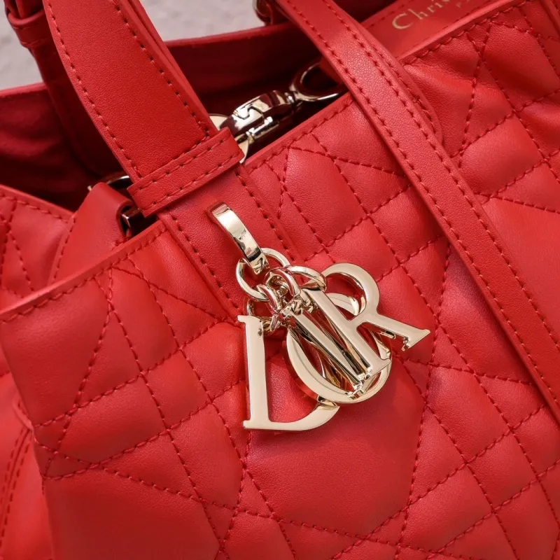 Dior Shopping Bags-74 - Image 5