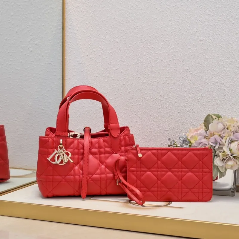 Dior Shopping Bags-75