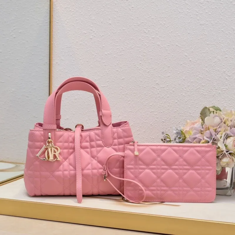 Dior Shopping Bags-77