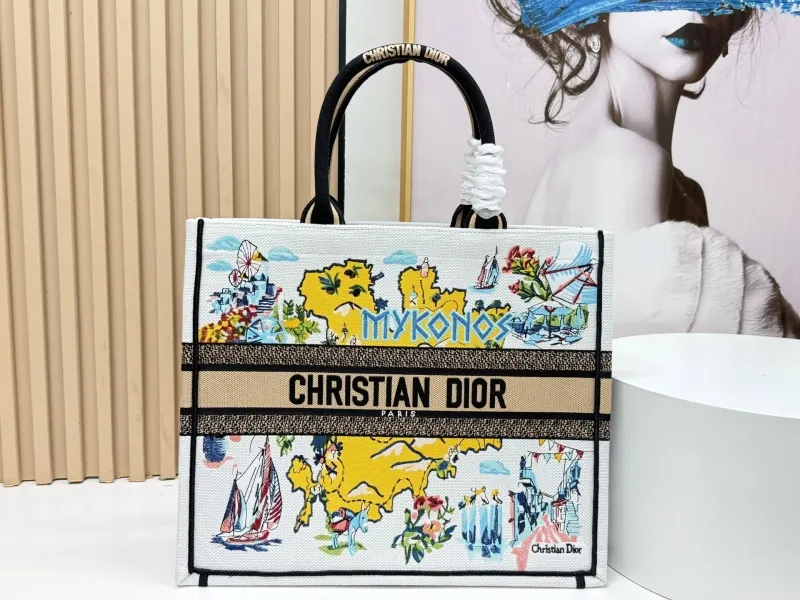 Dior Shopping Bags-84