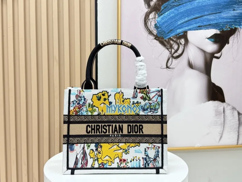 Dior Shopping Bags-86