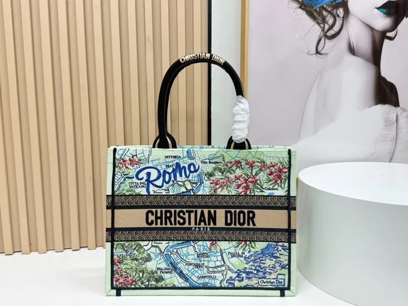 Dior Shopping Bags-92