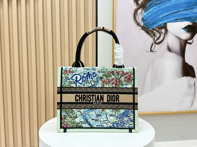 Dior Shopping Bags-93