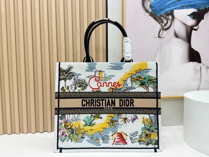 Dior Shopping Bags-94