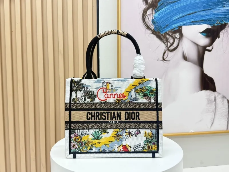 Dior Shopping Bags-96