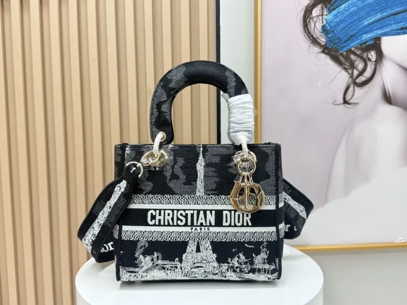 Dior Shopping Bags-97
