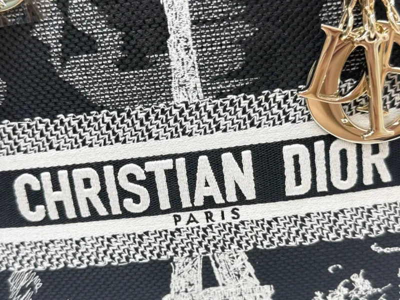 Dior Shopping Bags-97 - Image 6