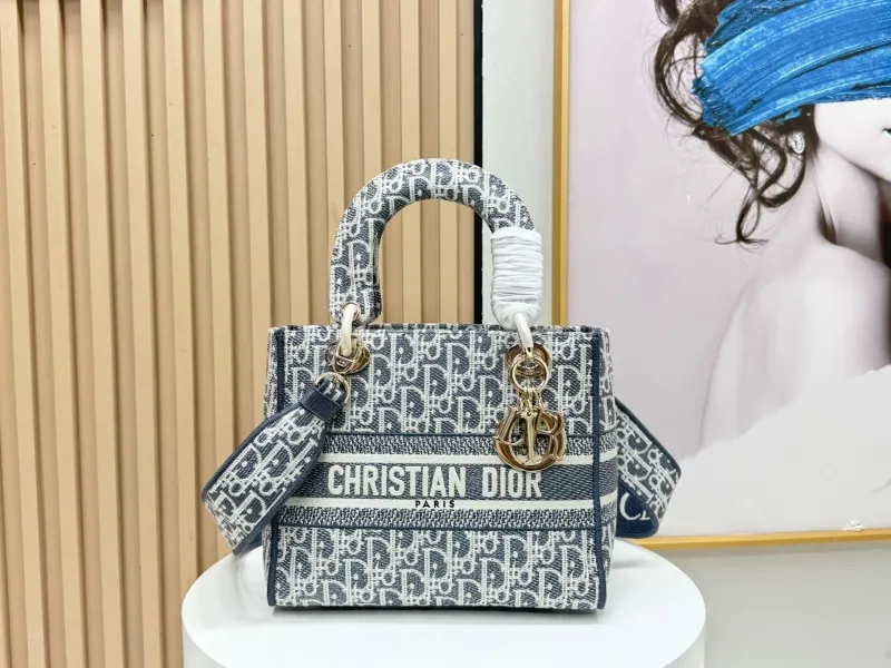 Dior Shopping Bags-99