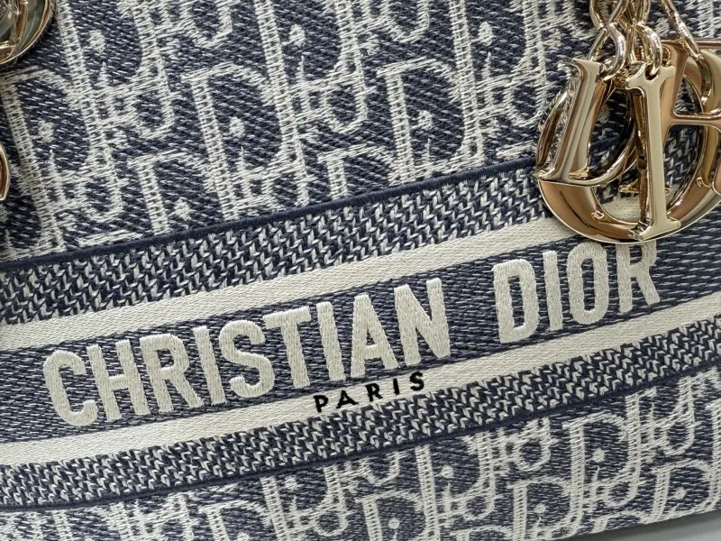 Dior Shopping Bags-99 - Image 6