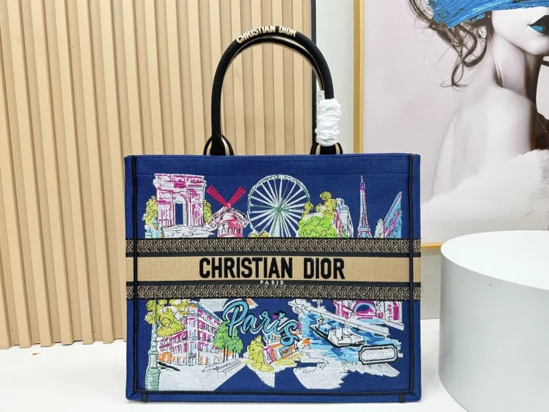 Dior Shopping Bags-100