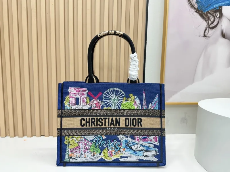 Dior Shopping Bags-101