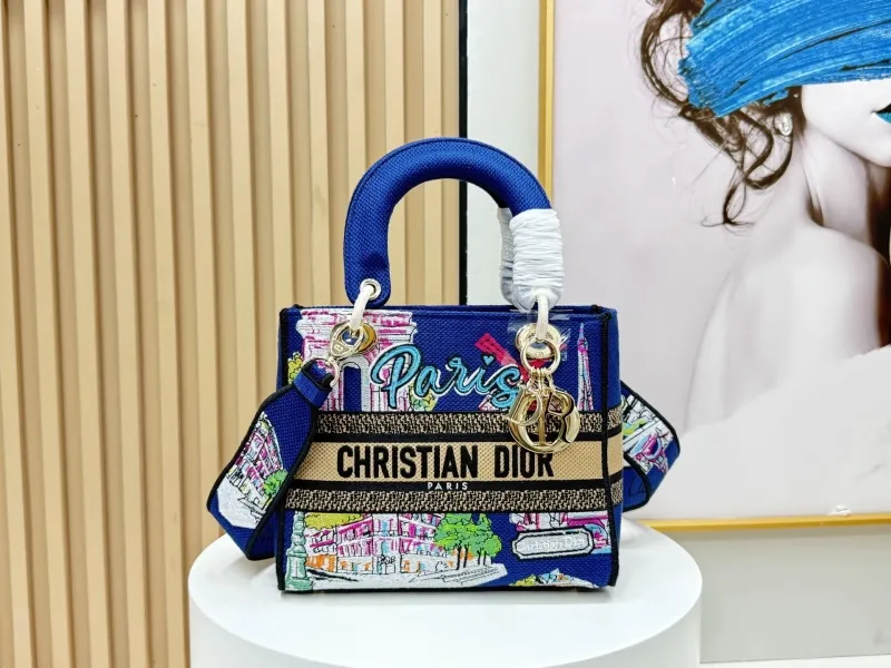 Dior Shopping Bags-106