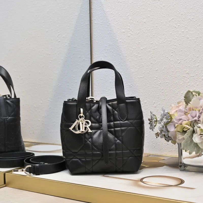 Dior Shopping Bags-116