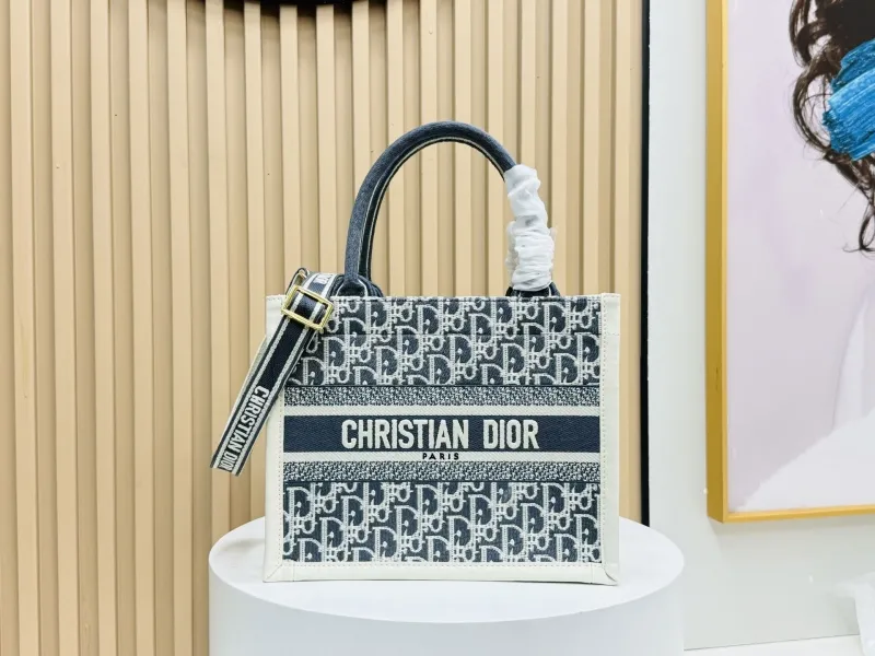 Dior Shopping Bags-135