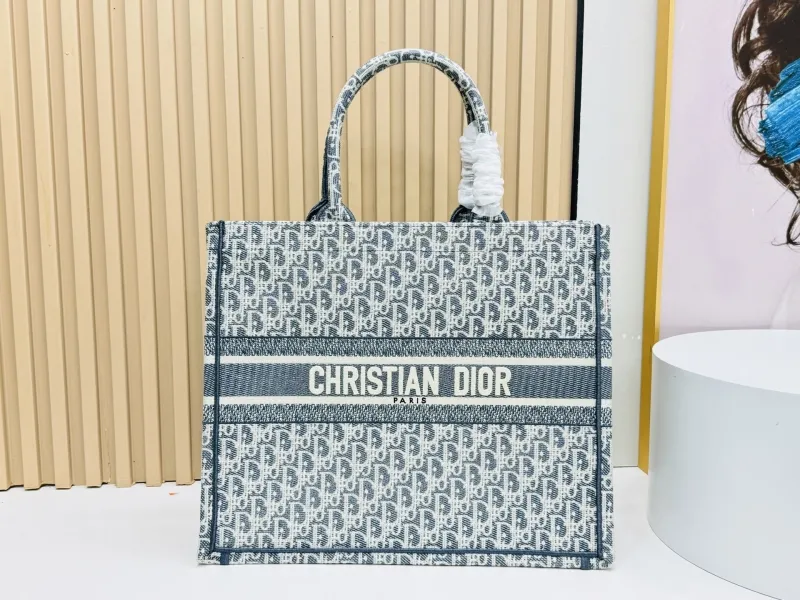 Dior Shopping Bags-139