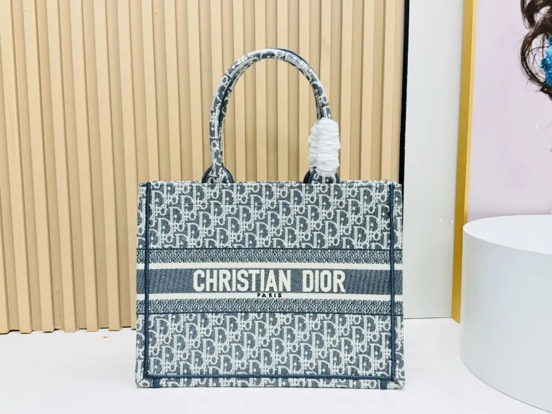 Dior Shopping Bags-140