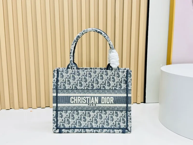 Dior Shopping Bags-141
